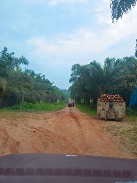 Paloh untuk Untuk Dijual - RM 99,999,999,999, Mac 2026 - Exterior - PropertyGuru.com.my