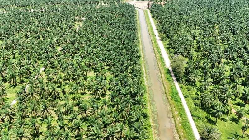 Agricultural Land for Sale in Kulai (Johor) - Joanna Koo - Exterior - PropertyGuru.com.my