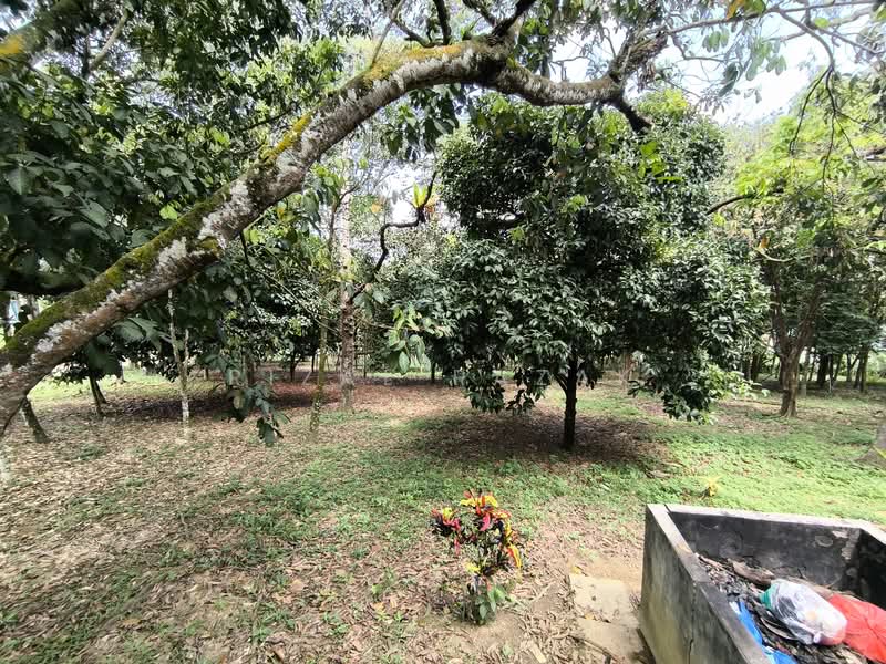 Agricultural Land for Sale in Kuang (Selangor) - Rizal Razak - Garden - PropertyGuru.com.my