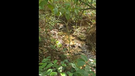 Kampung Baru Liman Kati untuk Untuk Dijual - RM 484,800, Mac 2026 - PropertyGuru.com.my