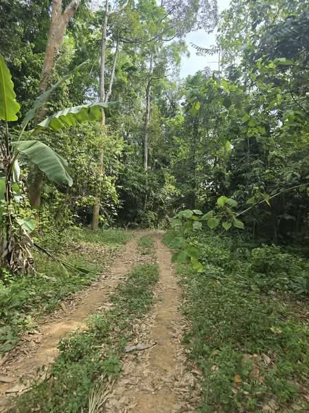 Kampung Baru Liman Kati untuk Untuk Dijual - RM 484,800, Mac 2026 - Exterior - PropertyGuru.com.my