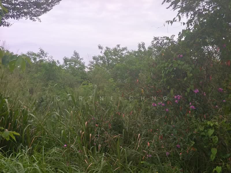 Industrial Land for Sale in Hi-Tech Industrial Park (Semenyih) - Carene Chng - Garden - PropertyGuru.com.my
