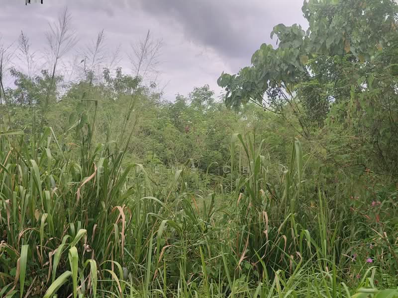 Industrial Land for Sale in Hi-Tech Industrial Park (Semenyih) - Carene Chng - Exterior - PropertyGuru.com.my