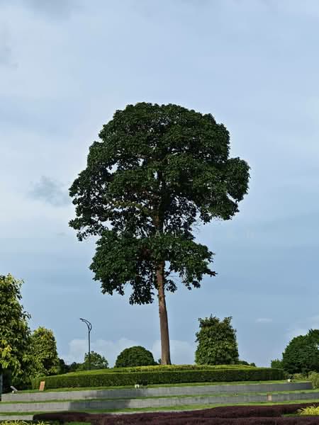 Cluster House for Sale in Eco Botanic 2 (Iskandar Puteri (Nusajaya)) - Crystal Tan - Exterior - PropertyGuru.com.my