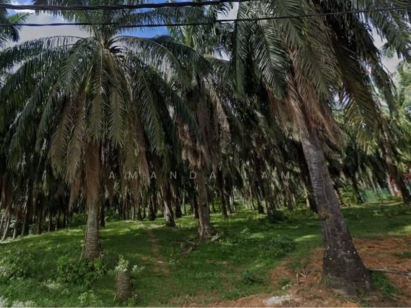 Industrial Land for Sale in Kulim Techno City (Kulim) - Amanda Lam - Exterior - PropertyGuru.com.my