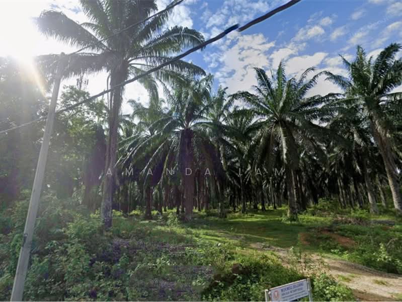Industrial Land for Sale in Kulim Techno City (Kulim) - Amanda Lam - Exterior - PropertyGuru.com.my