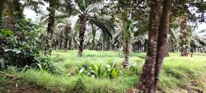 Taman Scientex Kulai untuk Untuk Dijual - RM 206,000,000, Mac 2026 - Exterior - PropertyGuru.com.my