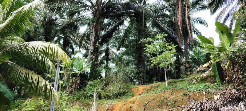 Taman Scientex Kulai untuk Untuk Dijual - RM 206,000,000, Mac 2026 - Exterior - PropertyGuru.com.my