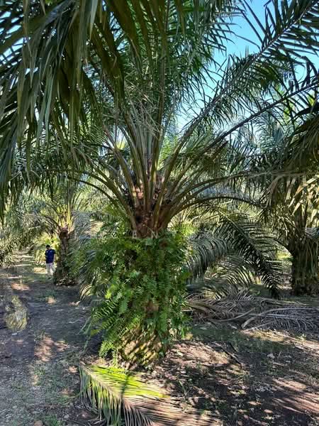 Mersing untuk Untuk Dijual - RM 100,000, Mac 2026 - Exterior - PropertyGuru.com.my