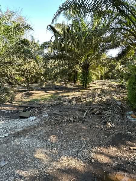 Mersing untuk Untuk Dijual - RM 100,000, Mac 2026 - Exterior - PropertyGuru.com.my