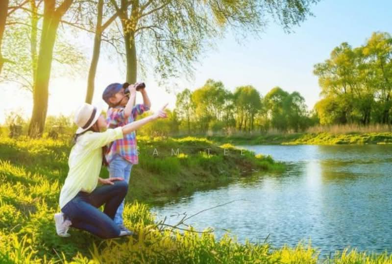 Cluster House for Sale in Iskandar Puteri (Nusajaya) (Johor) - Sam Tee - Exterior - PropertyGuru.com.my