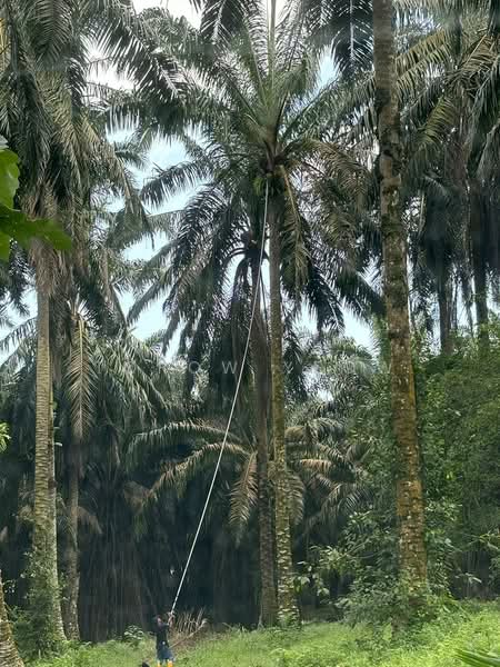 Senai untuk Untuk Dijual - RM 8,018,040, Mac 2026 - PropertyGuru.com.my