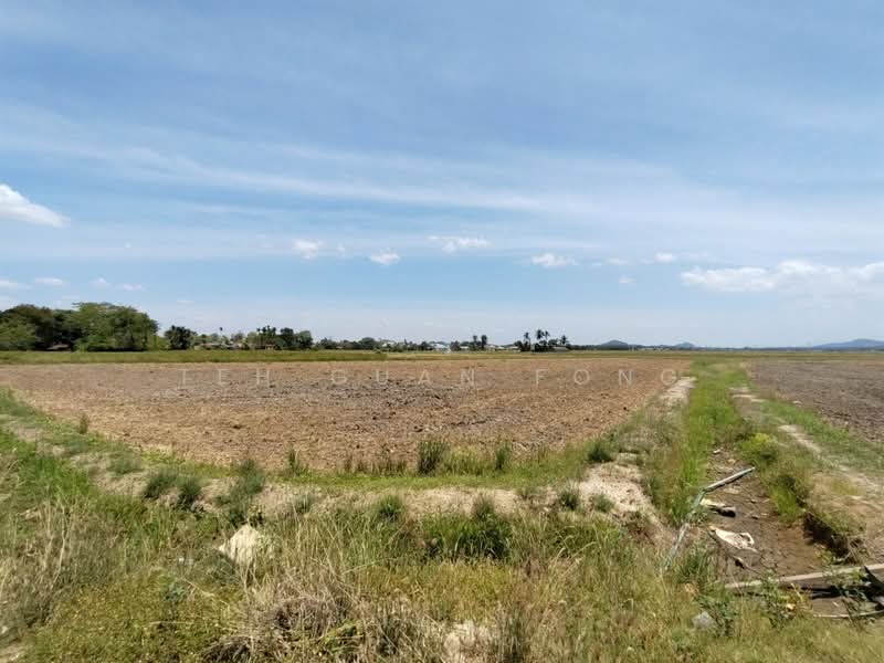1.21 acre Agricultural Land | Paddy Field | Permatang Pauh | Bukit Mertajam | Penang RM16 psf L untuk Untuk Dijual - RM 840,000, Apr 2026 - Exterior - PropertyGuru.com.my