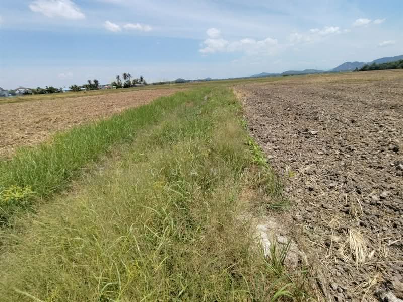 1.21 acre Agricultural Land | Paddy Field | Permatang Pauh | Bukit Mertajam | Penang RM16 psf L untuk Untuk Dijual - RM 840,000, Apr 2026 - Exterior - PropertyGuru.com.my