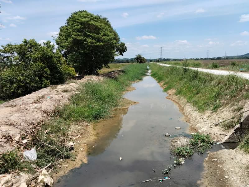 Untuk Dijual - 2.47 acre | Paddy Field | Agricultural Land | Permatang Pauh | Bukit Mertajam | Penang RM16 psf L