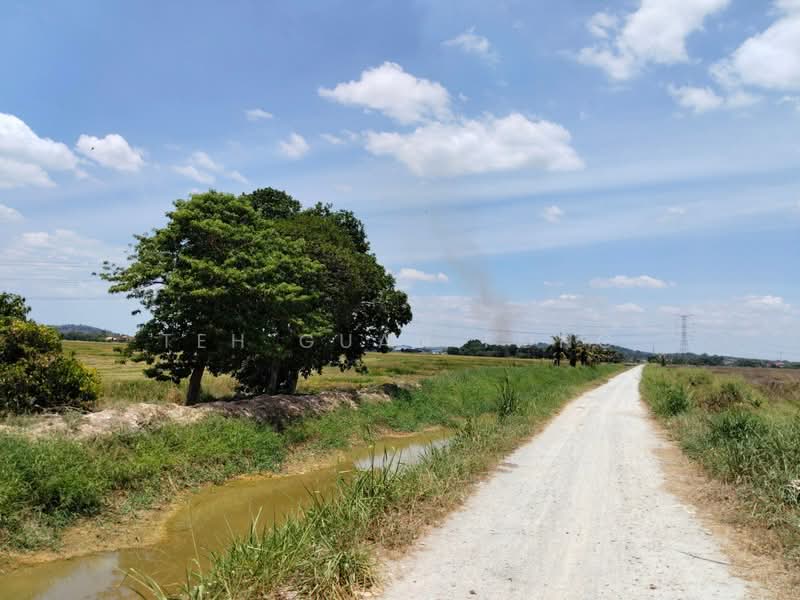 Untuk Dijual - 2.47 acre | Paddy Field | Agricultural Land | Permatang Pauh | Bukit Mertajam | Penang RM16 psf L
