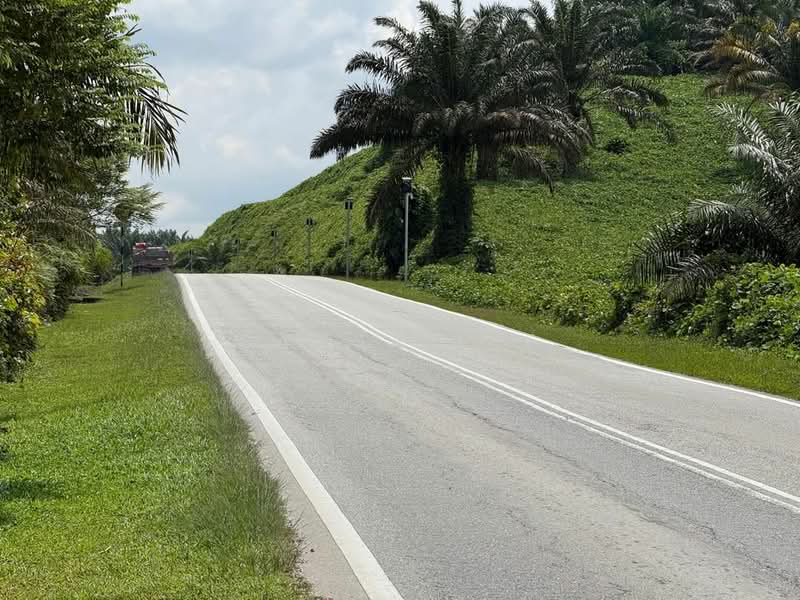 Agricultural Land for Sale in Kulai (Johor) - Sausa Lee - Exterior - PropertyGuru.com.my