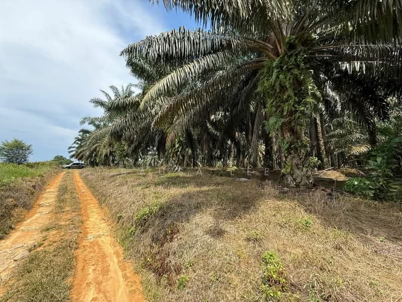 Agricultural Land for Sale in Kulai (Johor) - Sausa Lee - Exterior - PropertyGuru.com.my
