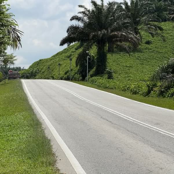 Agricultural Land for Sale in Kulai (Johor) - Sausa Lee - Exterior - PropertyGuru.com.my