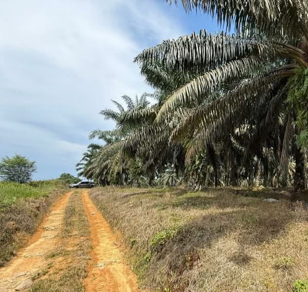 Agricultural Land for Sale in Kulai (Johor) - Sausa Lee - Exterior - PropertyGuru.com.my