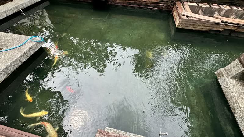 Semi-Detached House for Sale in Iskandar Puteri (Nusajaya) (Johor) - Cathy Tan - Pool - PropertyGuru.com.my