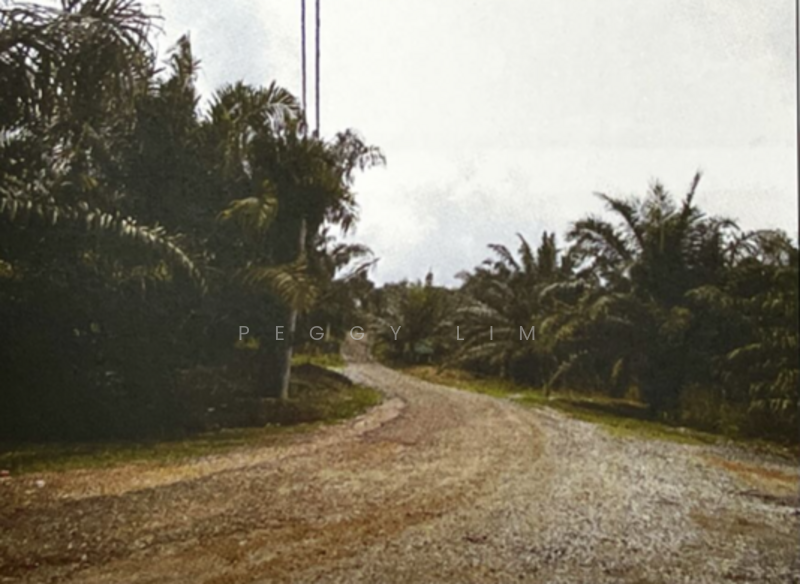 Agricultural Land for Sale in Raub (Pahang) - Peggy Lim - Exterior - PropertyGuru.com.my