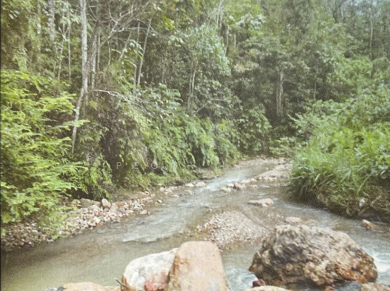 Agricultural Land for Sale in Raub (Pahang) - Peggy Lim - Exterior - PropertyGuru.com.my