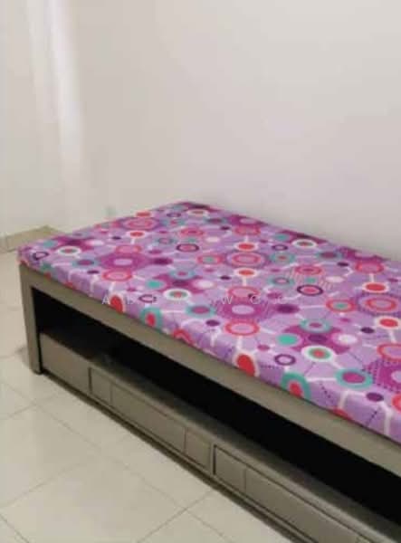 Apartment for Rent at Orchis Apartment - Abby Woo - PropertyGuru.com.my