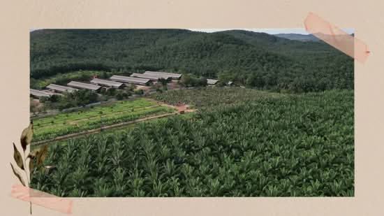 Bukit Selambau untuk Untuk Dijual - RM 6,185,456, Mac 2026 - PropertyGuru.com.my