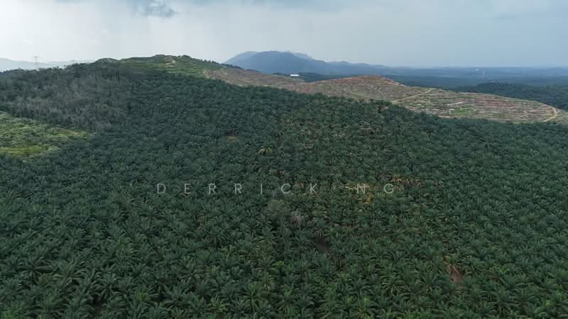 Bukit Selambau untuk Untuk Dijual - RM 6,185,456, Mac 2026 - Exterior - PropertyGuru.com.my