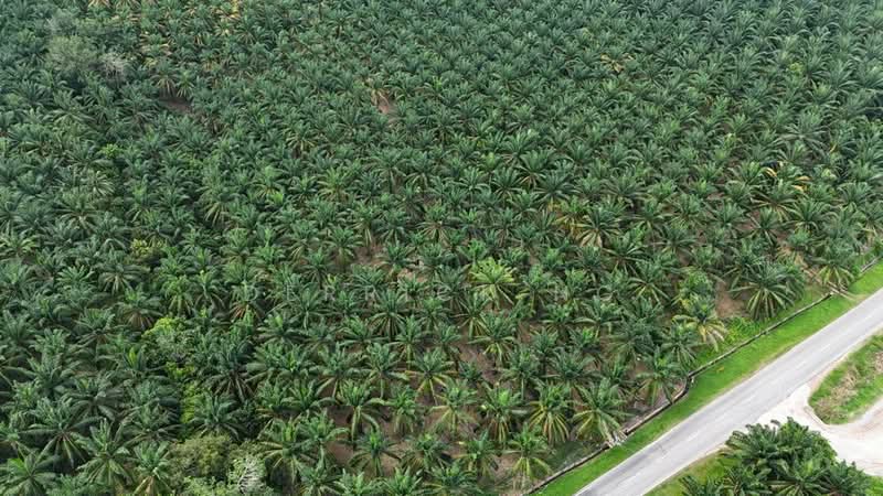 Bukit Selambau untuk Untuk Dijual - RM 6,185,456, Mac 2026 - PropertyGuru.com.my