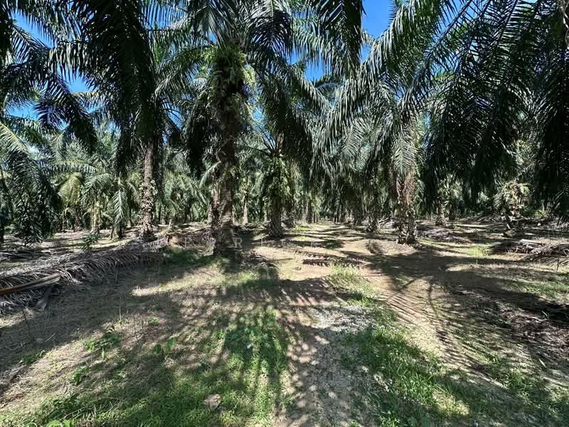 Bukit Selambau untuk Untuk Dijual - RM 6,185,456, Mac 2026 - Exterior - PropertyGuru.com.my