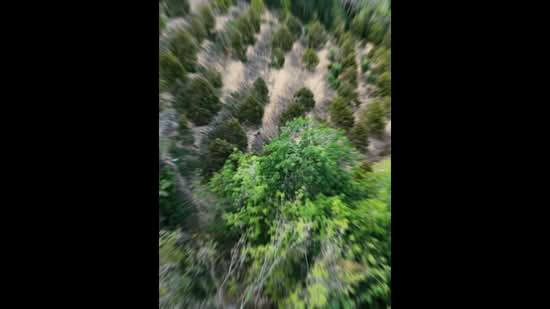 Kampung Baru Liman Kati untuk Untuk Dijual - RM 600,000, Mac 2026 - PropertyGuru.com.my