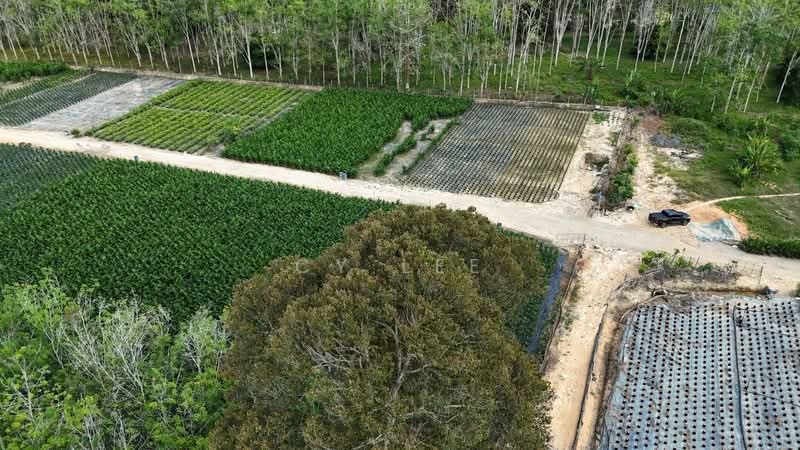 Kampung Baru Liman Kati untuk Untuk Dijual - RM 600,000, Mac 2026 - Exterior - PropertyGuru.com.my