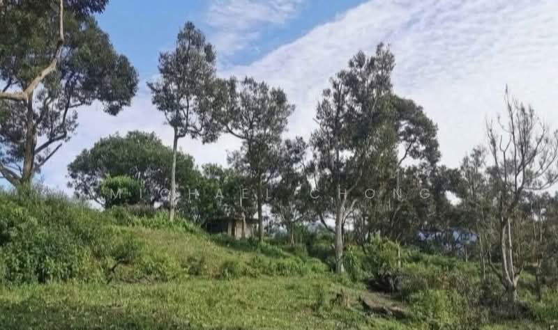 Industrial Land for Sale in Gelang Patah (Johor) - Michael Chong - PropertyGuru.com.my