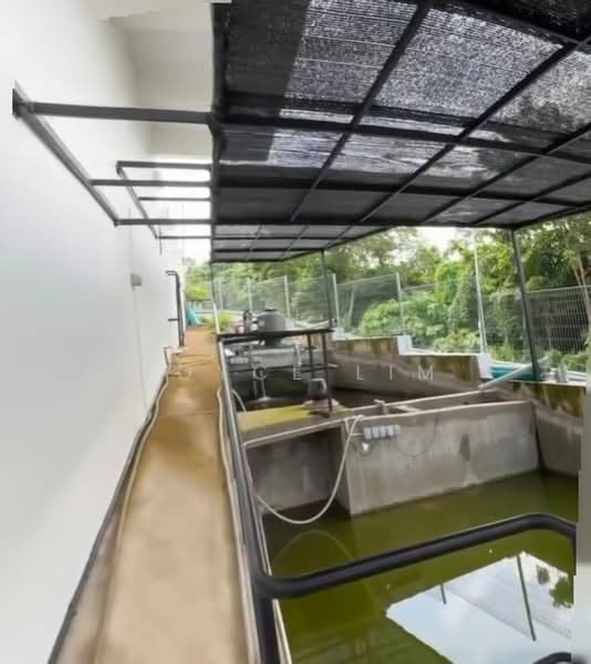 batu maung untuk Untuk Dijual - RM 8,800,000, Mac 2026 - PropertyGuru.com.my