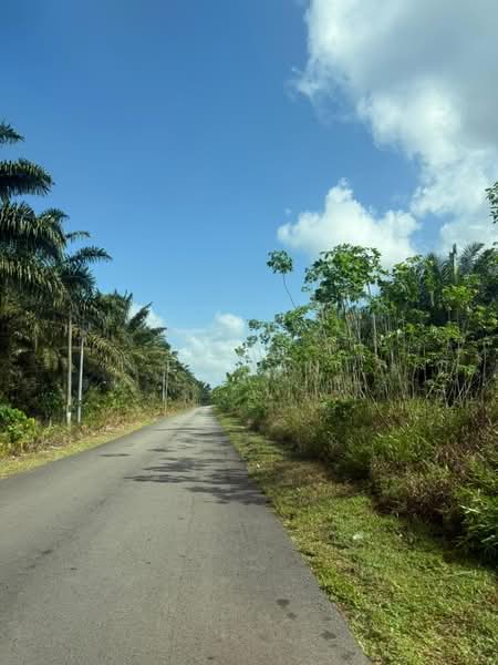 Agricultural Land for Sale in Pontian (Johor) - Ty Tan - Exterior - PropertyGuru.com.my