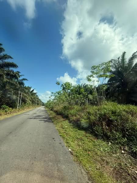 Agricultural Land for Sale in Pontian (Johor) - Ty Tan - Exterior - PropertyGuru.com.my