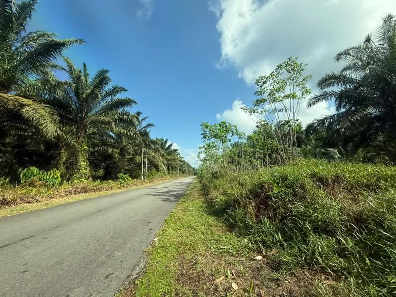 Agricultural Land for Sale in Pontian (Johor) - Ty Tan - Exterior - PropertyGuru.com.my