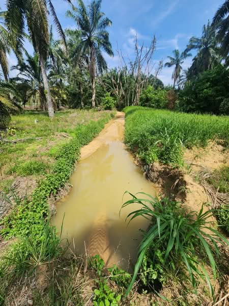 Agricultural Land for Sale in Sri Medan (Yong Peng) - ZG Law - Exterior - PropertyGuru.com.my