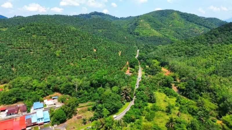 Freehold Open Palm Oil Kuala Pilah 220 Acres untuk Untuk Dijual - RM 28,620,000, Mac 2026 - PropertyGuru.com.my