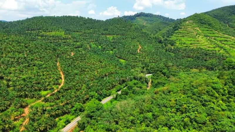 Freehold Open Palm Oil Kuala Pilah 220 Acres untuk Untuk Dijual - RM 28,620,000, Mac 2026 - PropertyGuru.com.my
