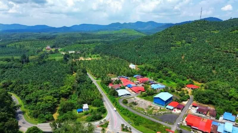 Freehold Open Palm Oil Kuala Pilah 220 Acres untuk Untuk Dijual - RM 28,620,000, Mac 2026 - PropertyGuru.com.my