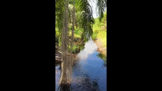Ayer Baloi, Pontian – 3.56 Acres Freehold Oil Palm Agriculture Land For Sale - 4