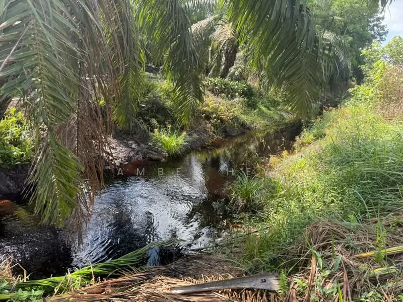 Tanah Pertanian untuk Dijual di Ayer Baloi (Johor) - Amber Hew - Exterior - PropertyGuru.com.my