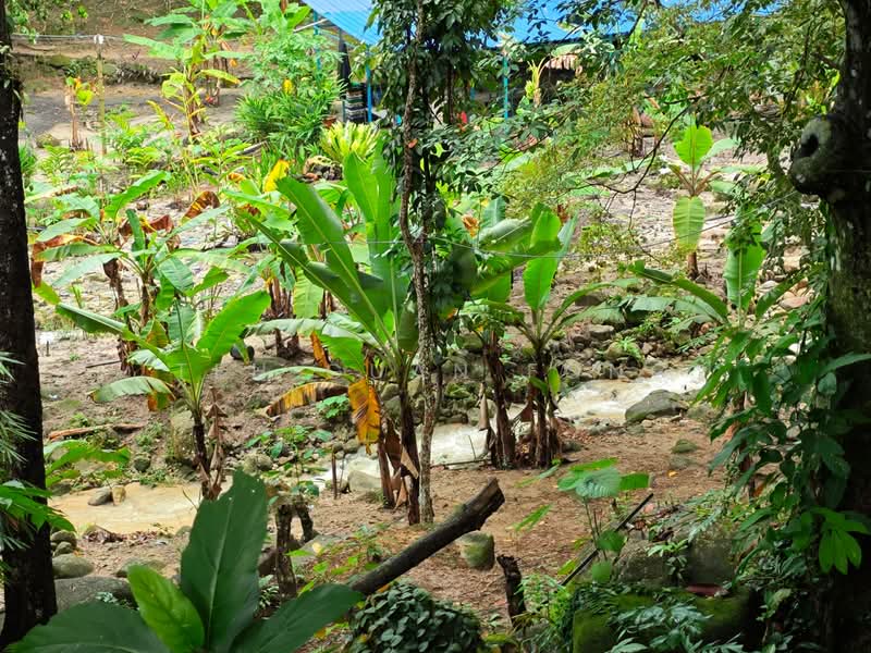 Tanah Kediaman untuk Dijual di Kamunting (Perak) - Teh Guan Fong - Exterior - PropertyGuru.com.my