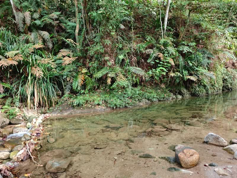 Tanah Kediaman untuk Dijual di Kamunting (Perak) - Teh Guan Fong - PropertyGuru.com.my