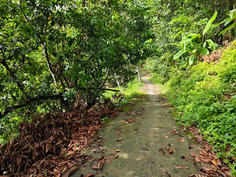 Agricultural Land for Sale in Ayer Itam (Penang) - Teh Guan Fong - Exterior - PropertyGuru.com.my