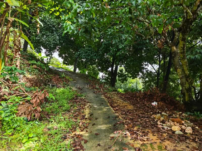 Agricultural Land for Sale in Ayer Itam (Penang) - Teh Guan Fong - Exterior - PropertyGuru.com.my