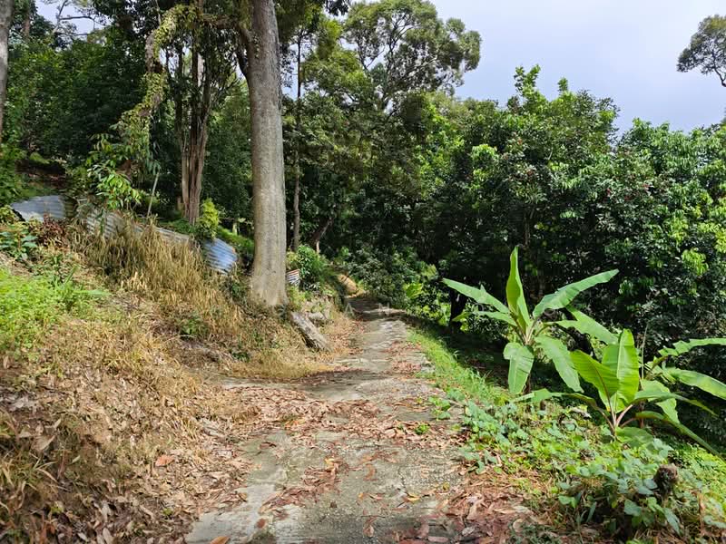 Agricultural Land for Sale in Ayer Itam (Penang) - Teh Guan Fong - Exterior - PropertyGuru.com.my